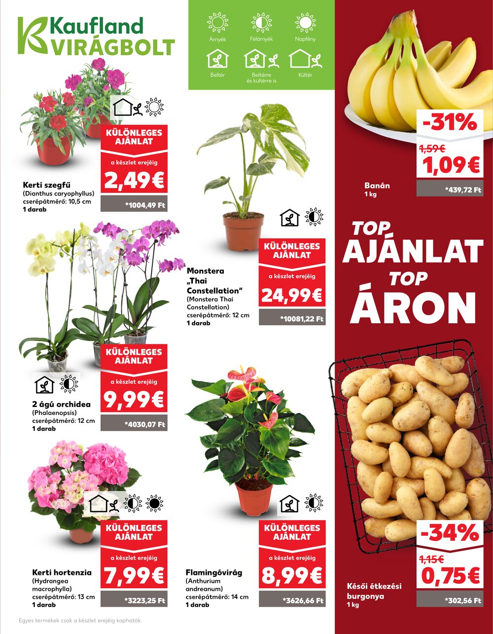 Kaufland akciós újság 2025.05.22-től - 9. oldal.