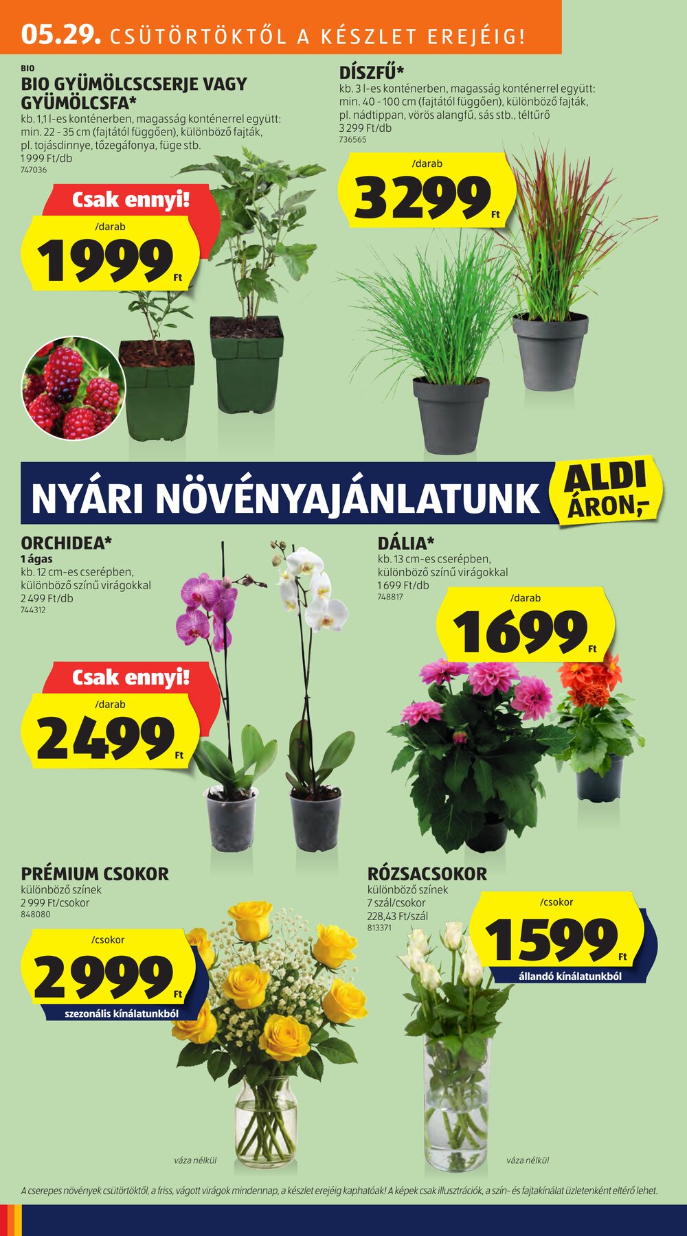 Aldi akciós újság 2025.05.29-től - 10. oldal.