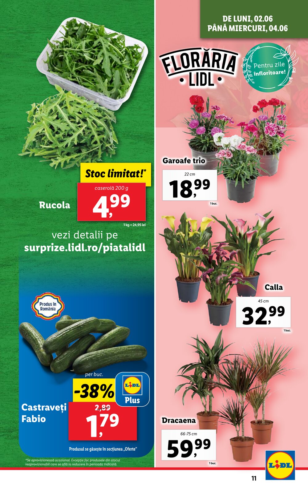 Lidl akciós újság 2025.06.02-től - 11. oldal.