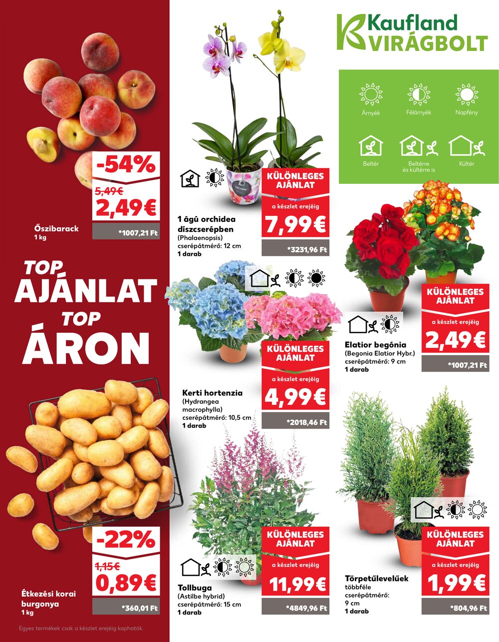 Kaufland akciós újság 2025.06.05-től - 9. oldal.