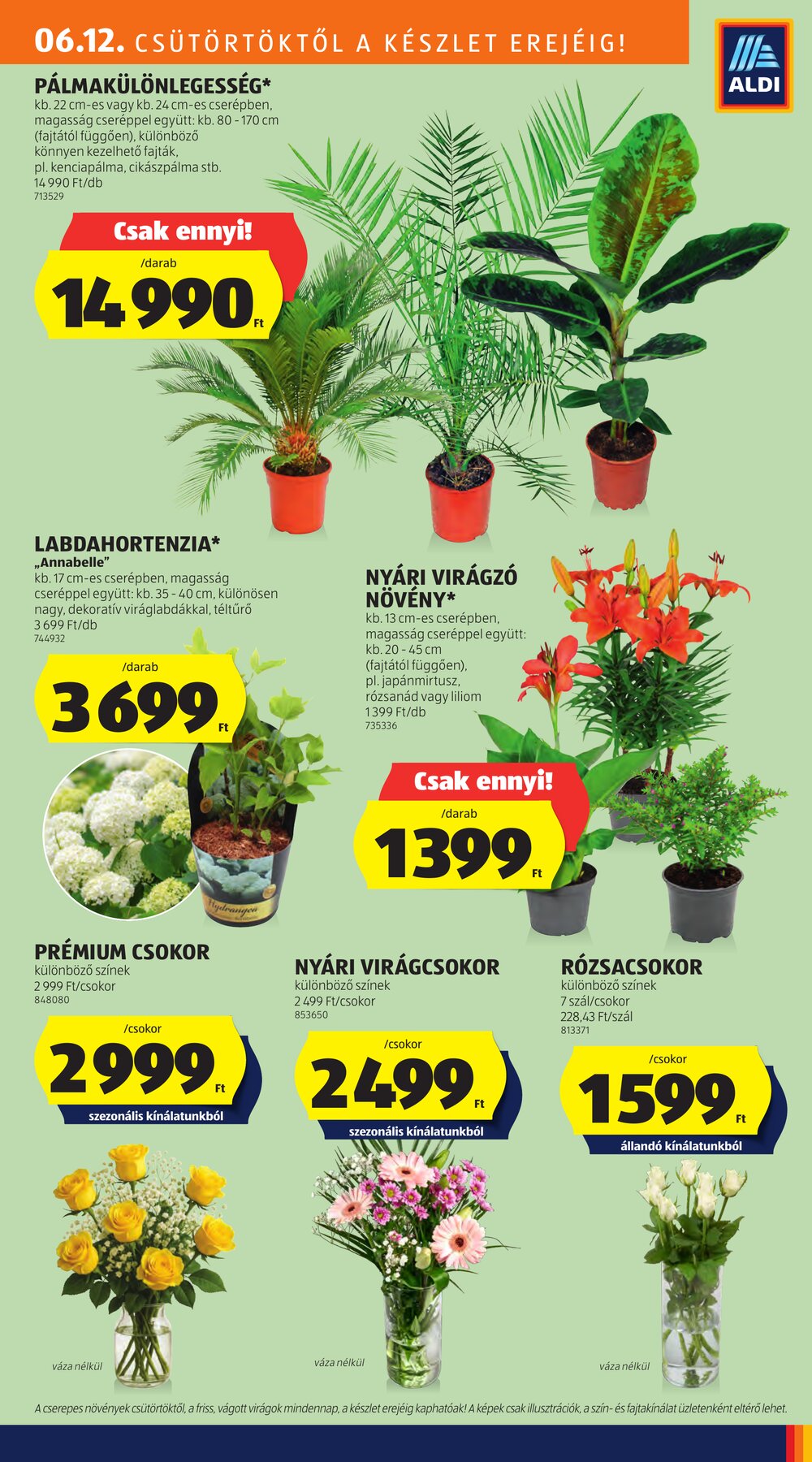 Aldi akciós újság 2025.06.12-től - 11. oldal.