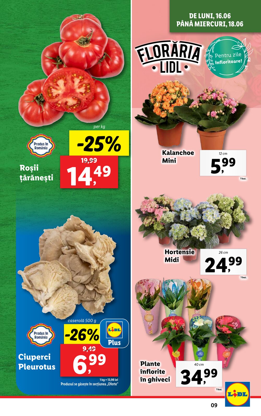 Lidl akciós újság 2025.06.16-tól - 9. oldal.