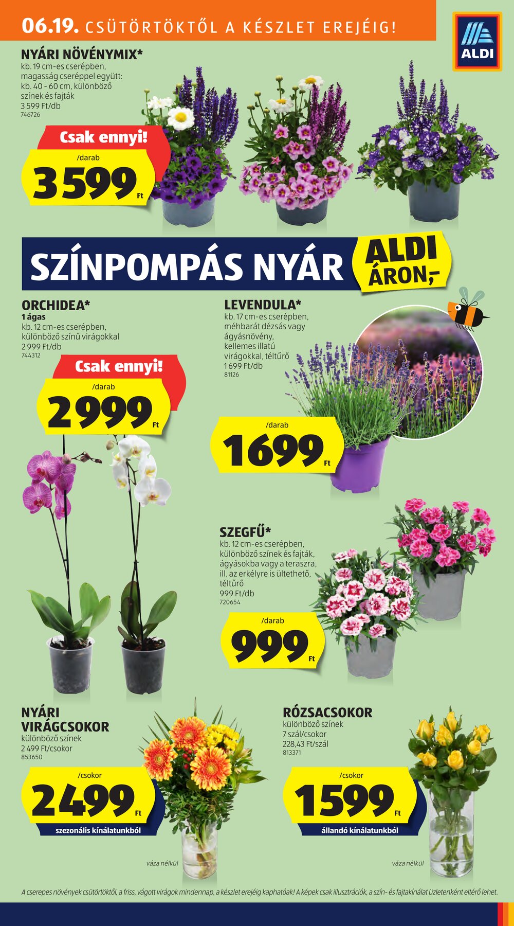 Aldi akciós újság 2025.06.19-től - 9. oldal.