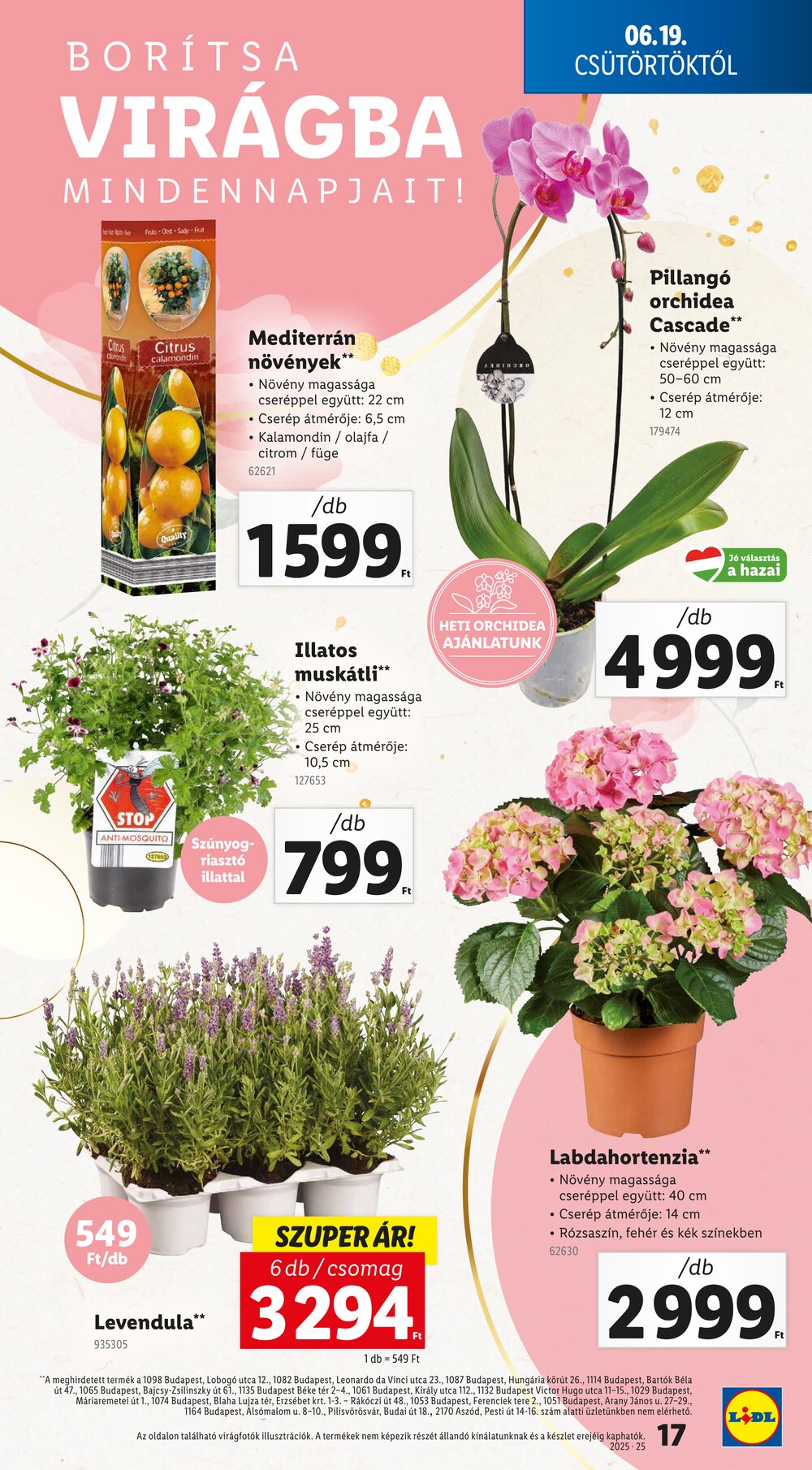 Lidl akciós újság 2025.06.19-től - 17. oldal.