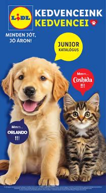 Lidl akciós újság 2025.06.19-től