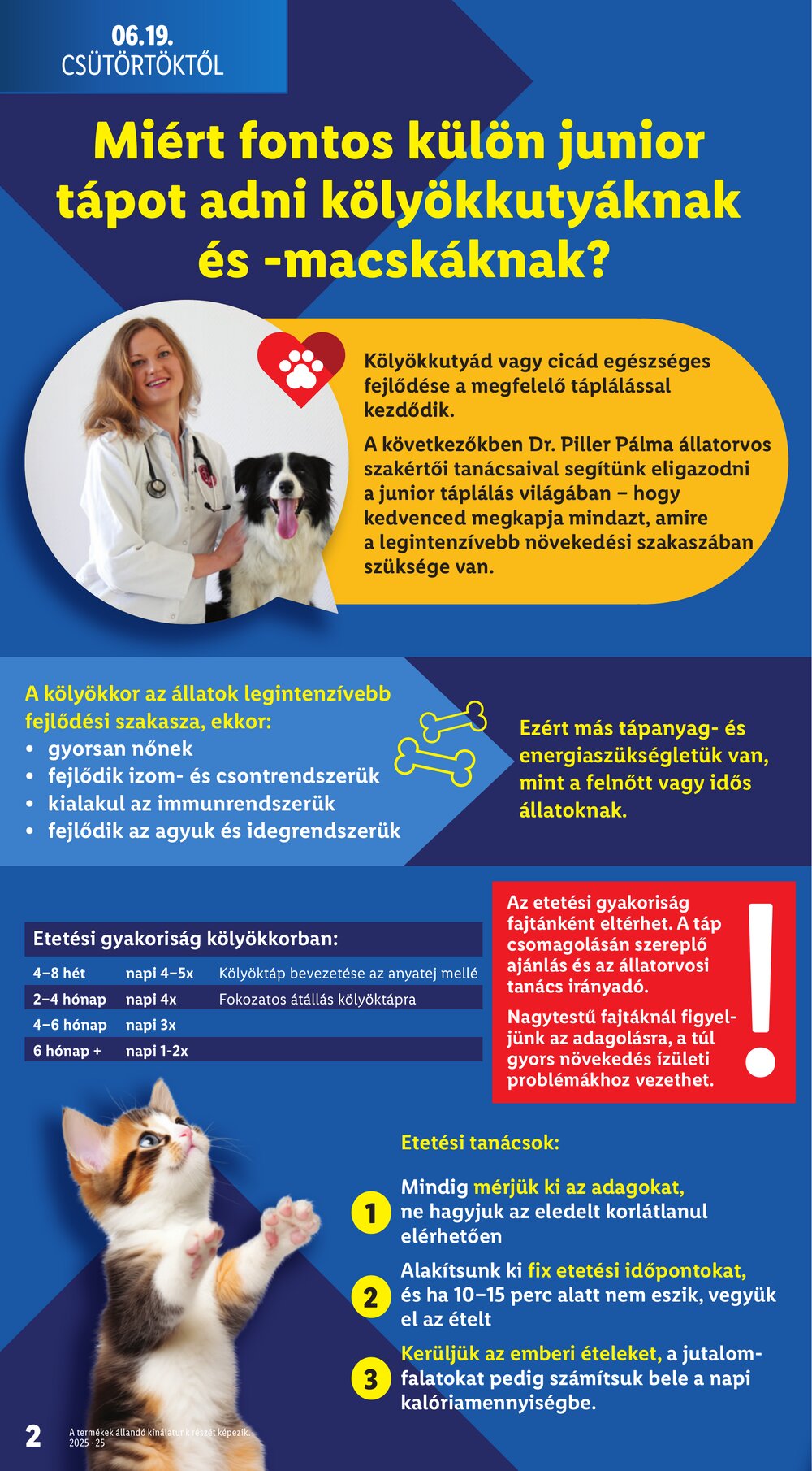 Lidl akciós újság 2025.06.19-től - 2. oldal.