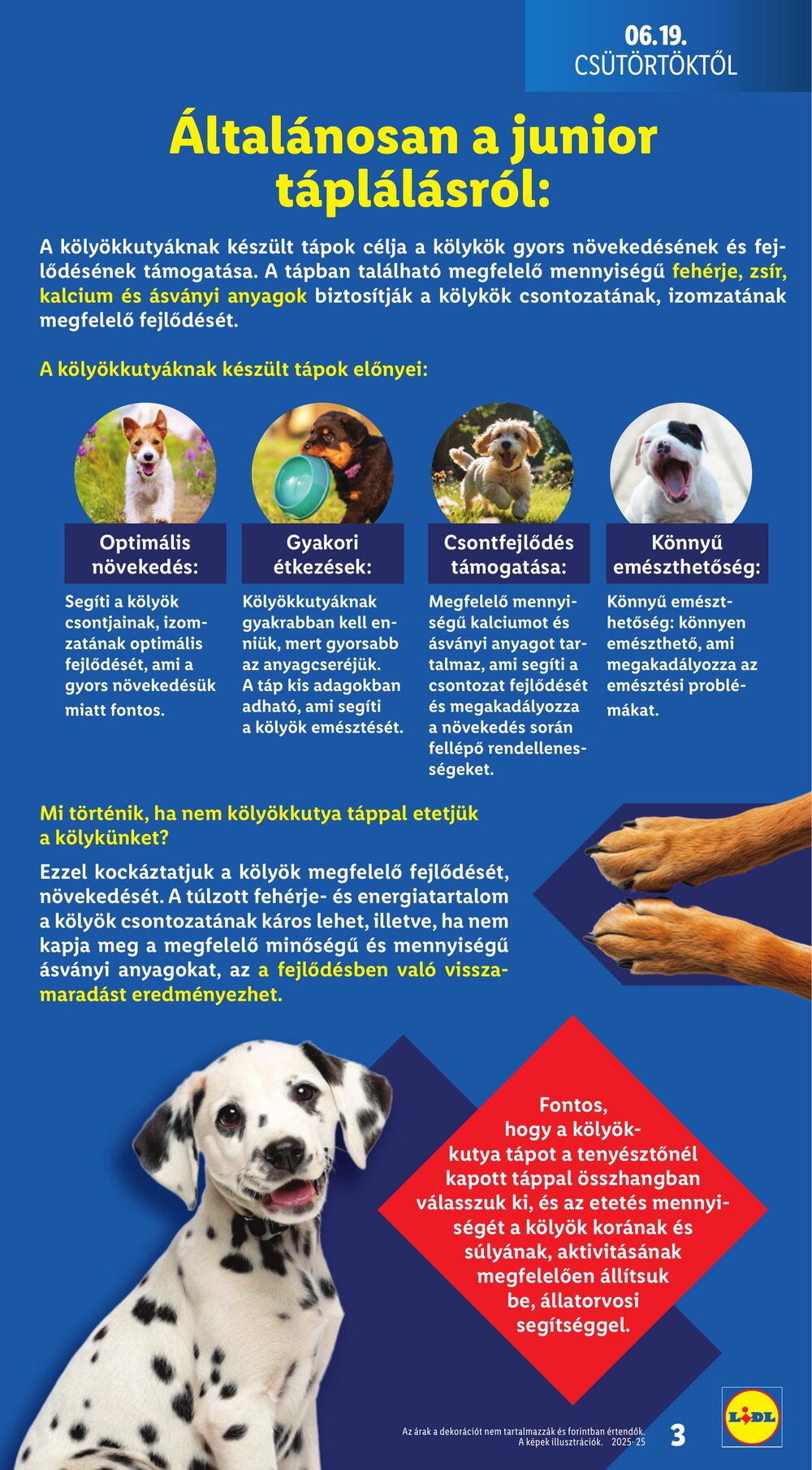 Lidl akciós újság 2025.06.19-től - 3. oldal.