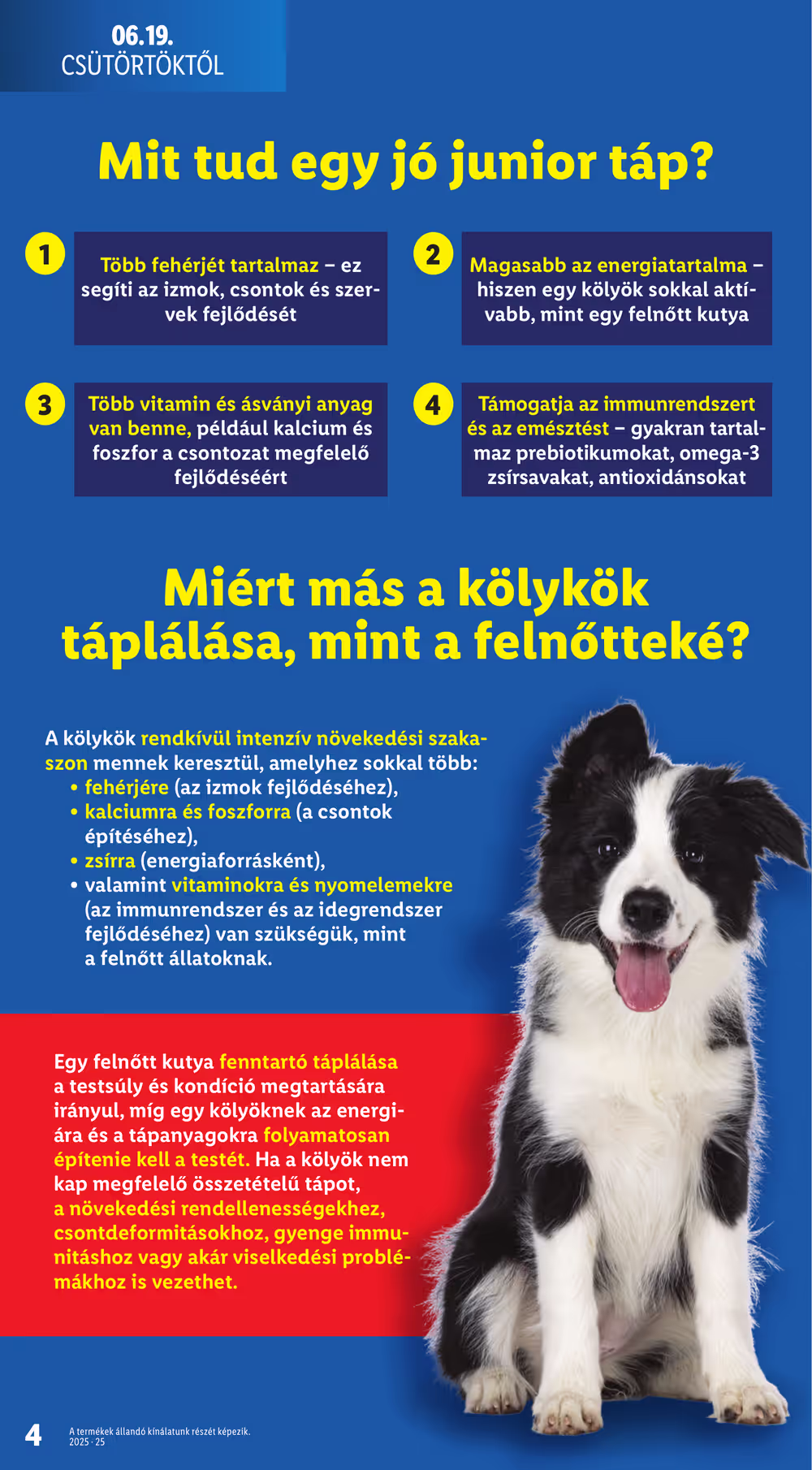 Lidl akciós újság 2025.06.19-től - 4. oldal.