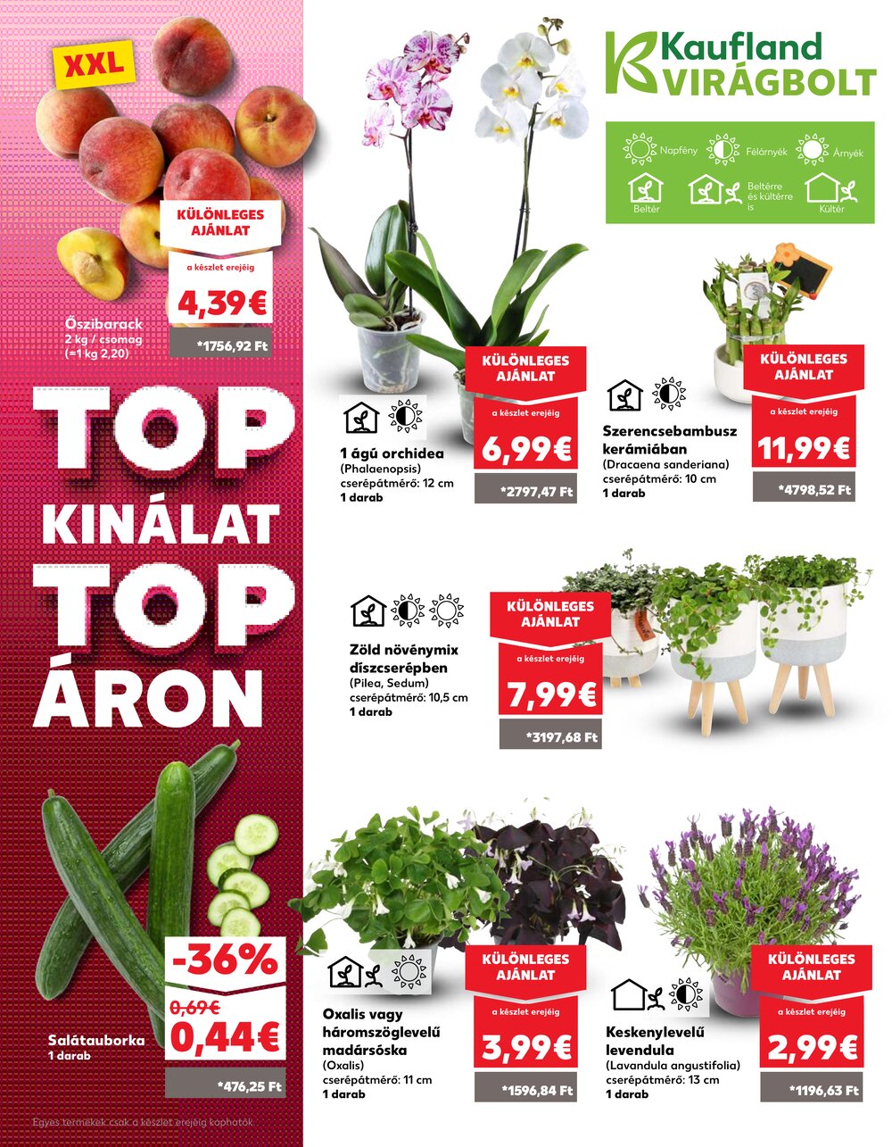 Kaufland akciós újság 2025.06.19-től - 7. oldal.