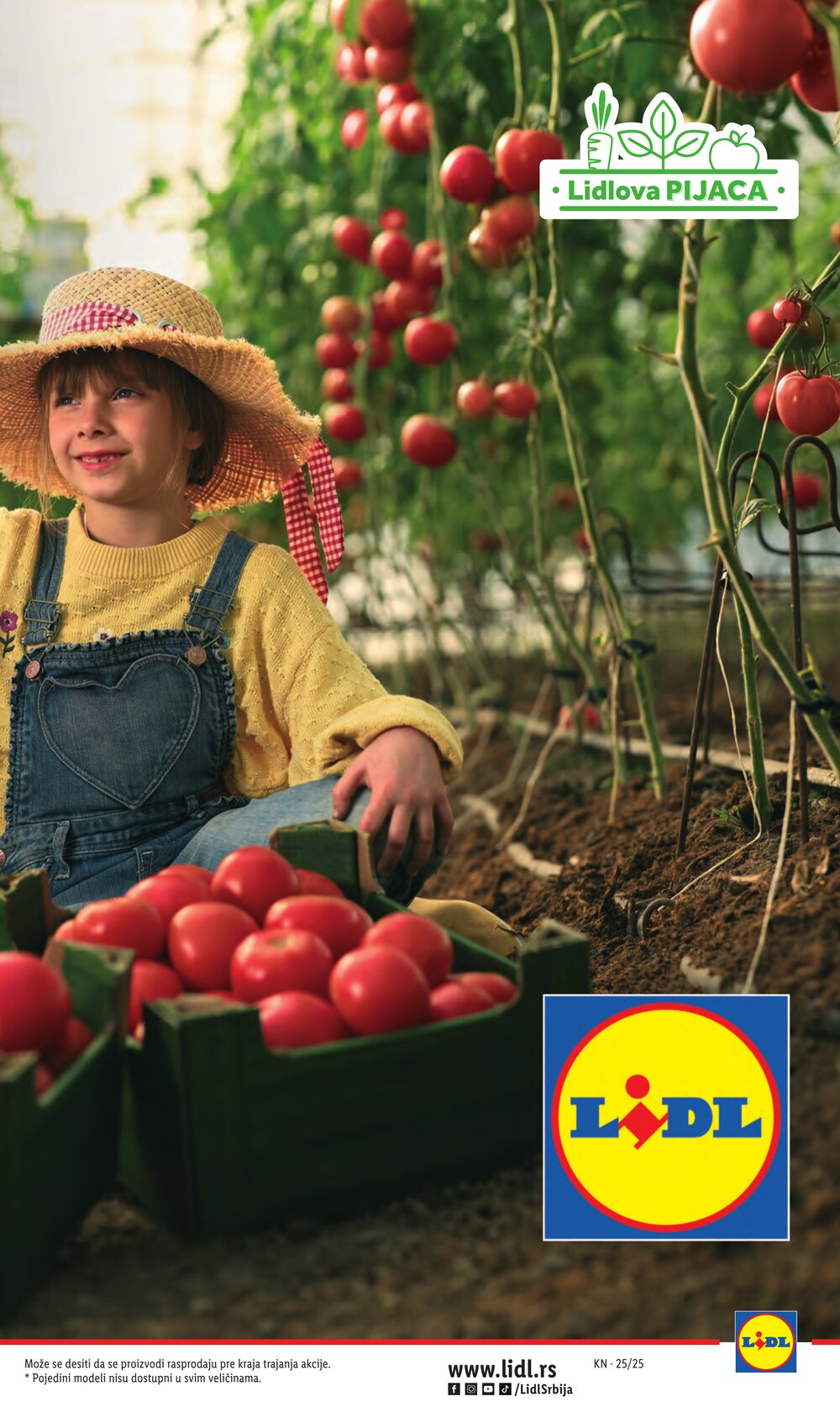 Lidl akciós újság 2025.06.19-től - 13. oldal.
