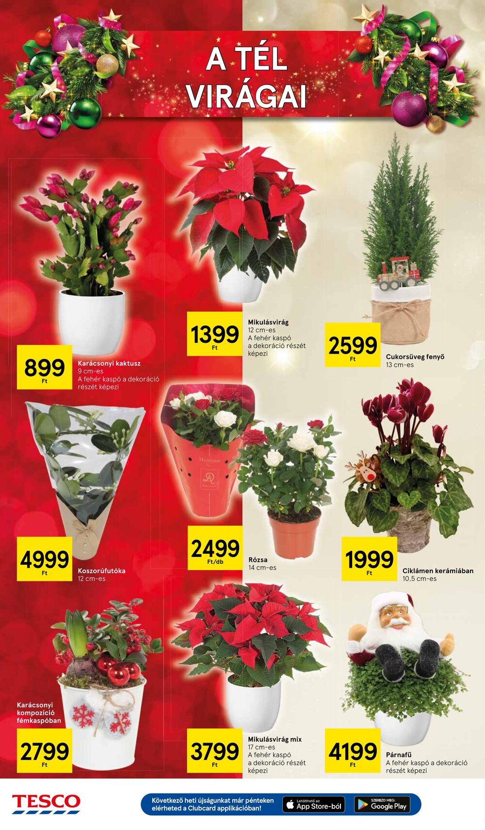 Tesco akciós újság 2025.12.04-től - 40. oldal.