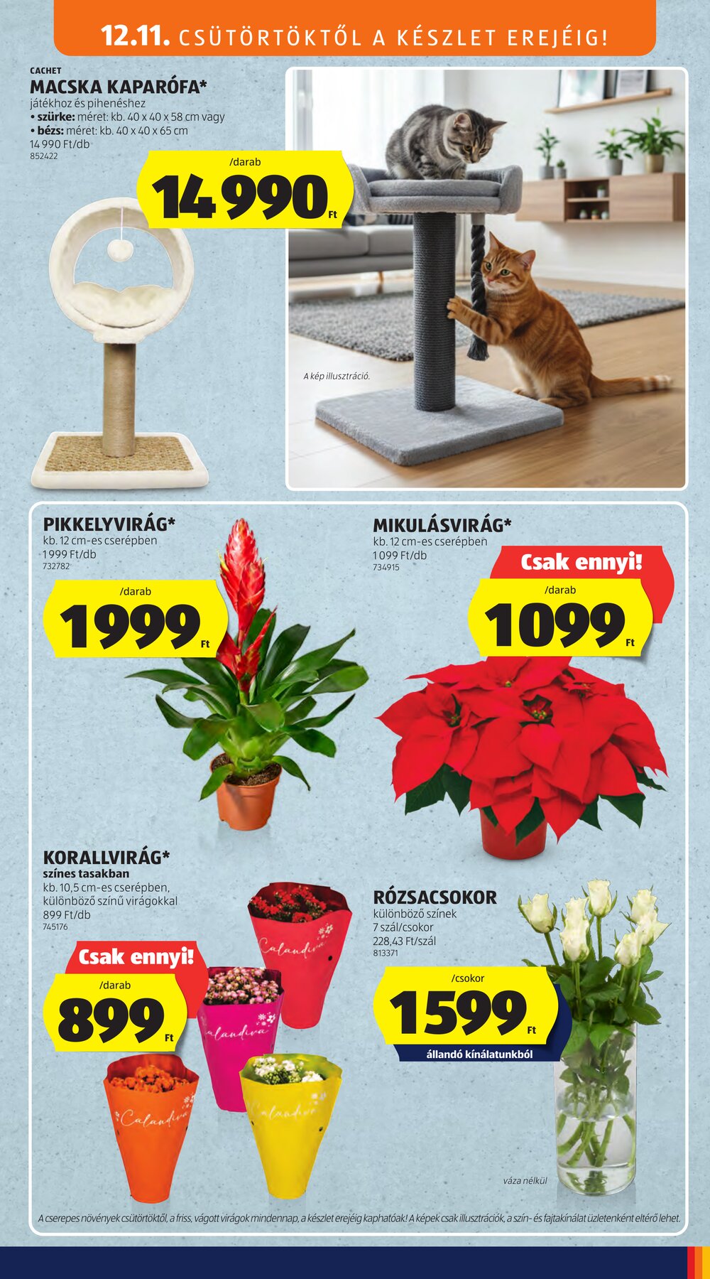 Aldi akciós újság 2025.12.11-től - 13. oldal.