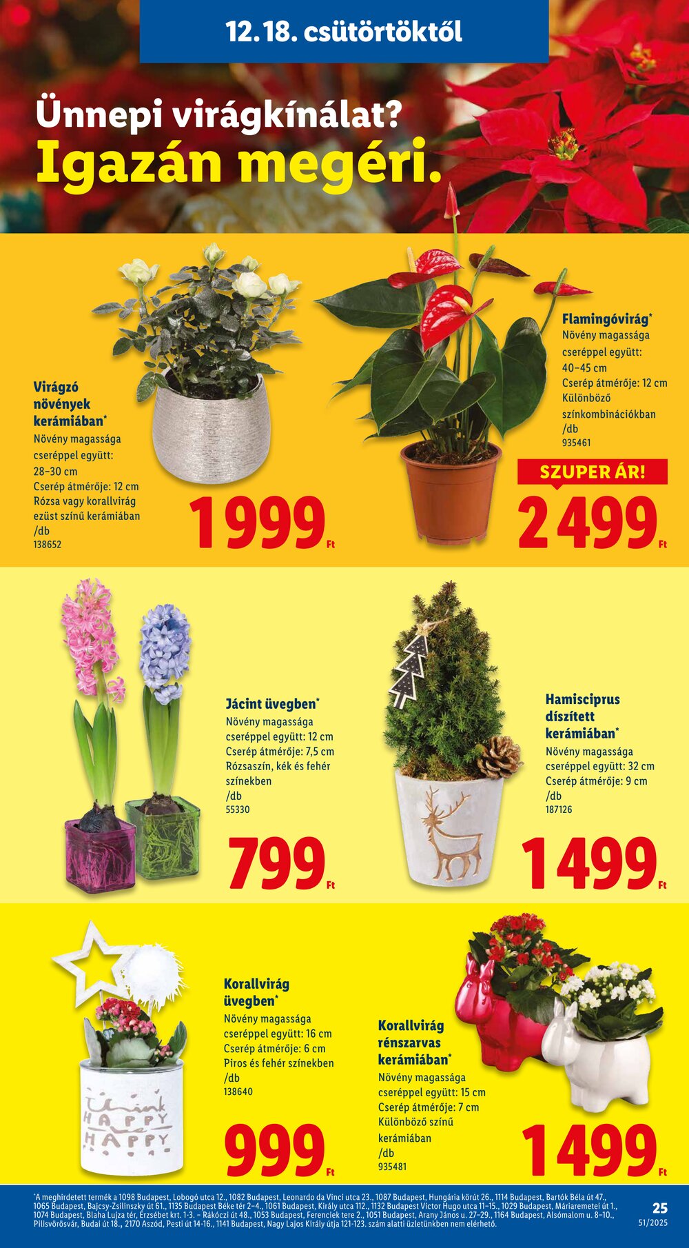 Lidl akciós újság 2025.12.18-tól - 25. oldal.