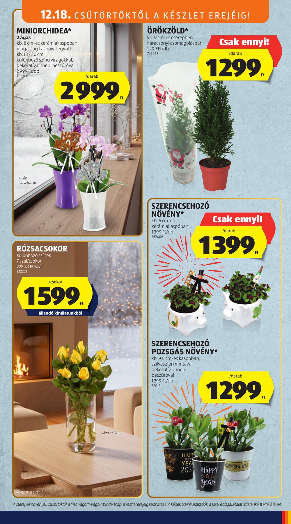 Aldi akciós újság 2025.12.18-tól - 9. oldal.