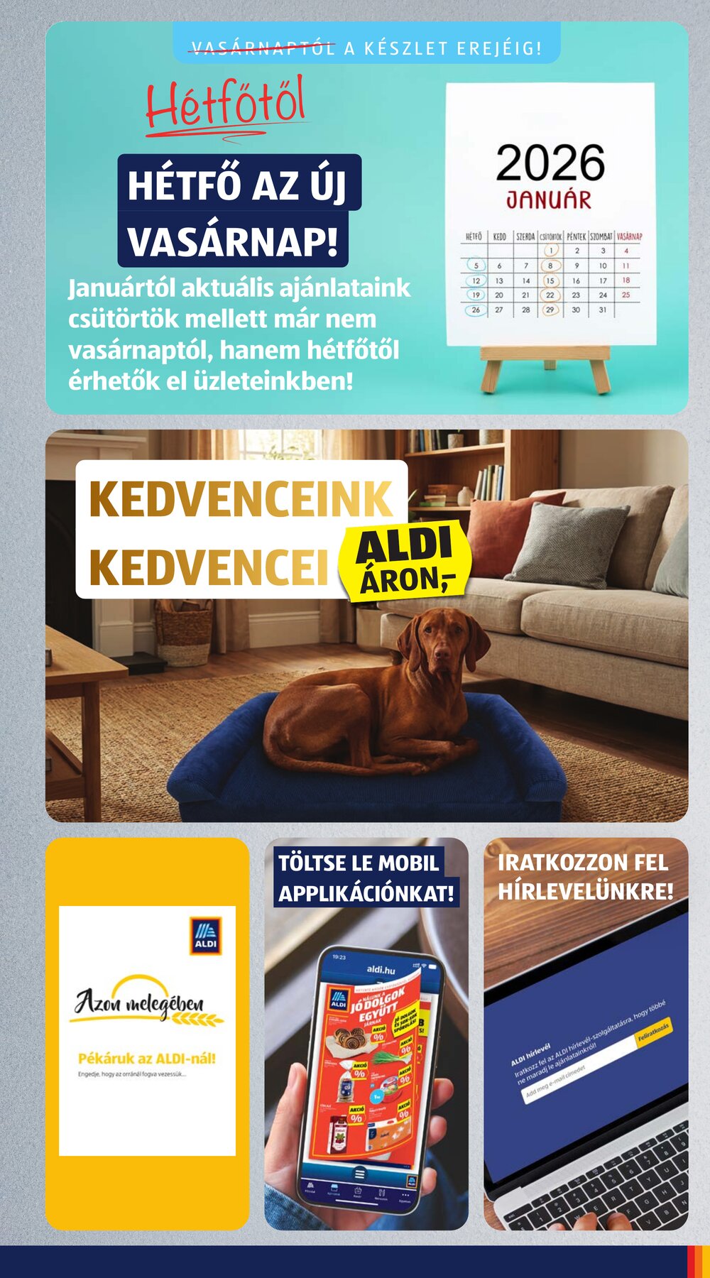 Aldi akciós újság 2025.12.24-től - 3. oldal.