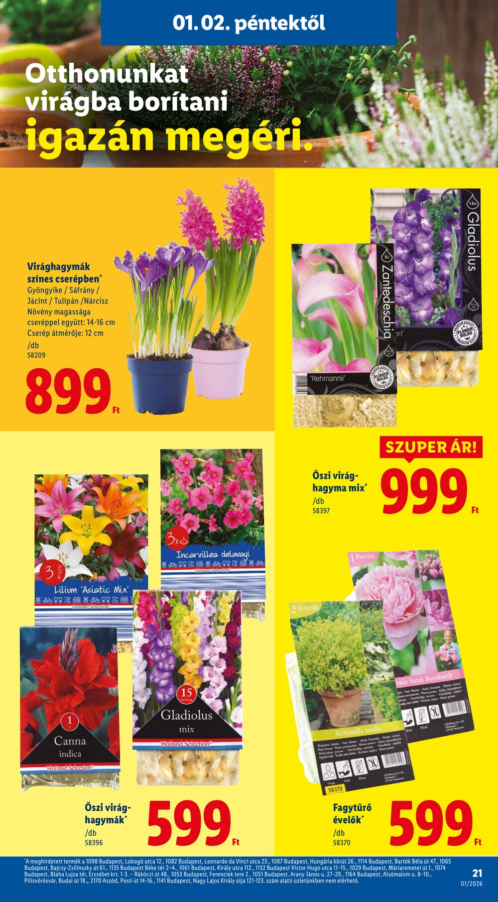 Lidl akciós újság 2026.01.02-től - 21. oldal.