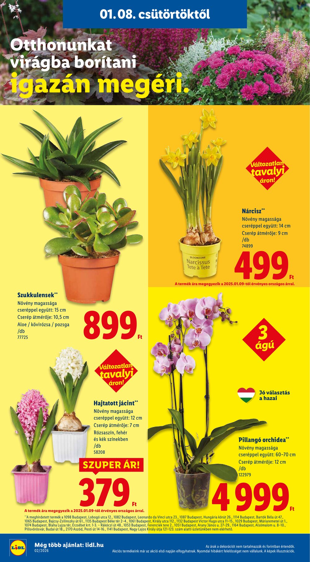 Lidl akciós újság 2026.01.08-tól - 24. oldal.