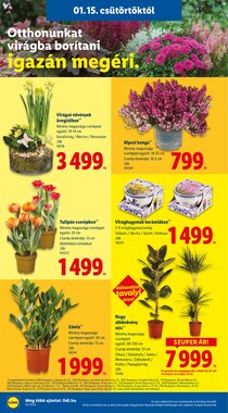 Lidl akciós újság 2026.01.15-től - 18. oldal.