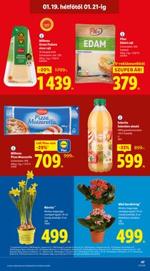 Lidl akciós újság 2026.01.15-től - 47. oldal.