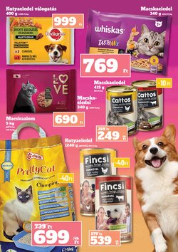 Family Diszkont akciós újság 2026.01.16-tól - 24. oldal.