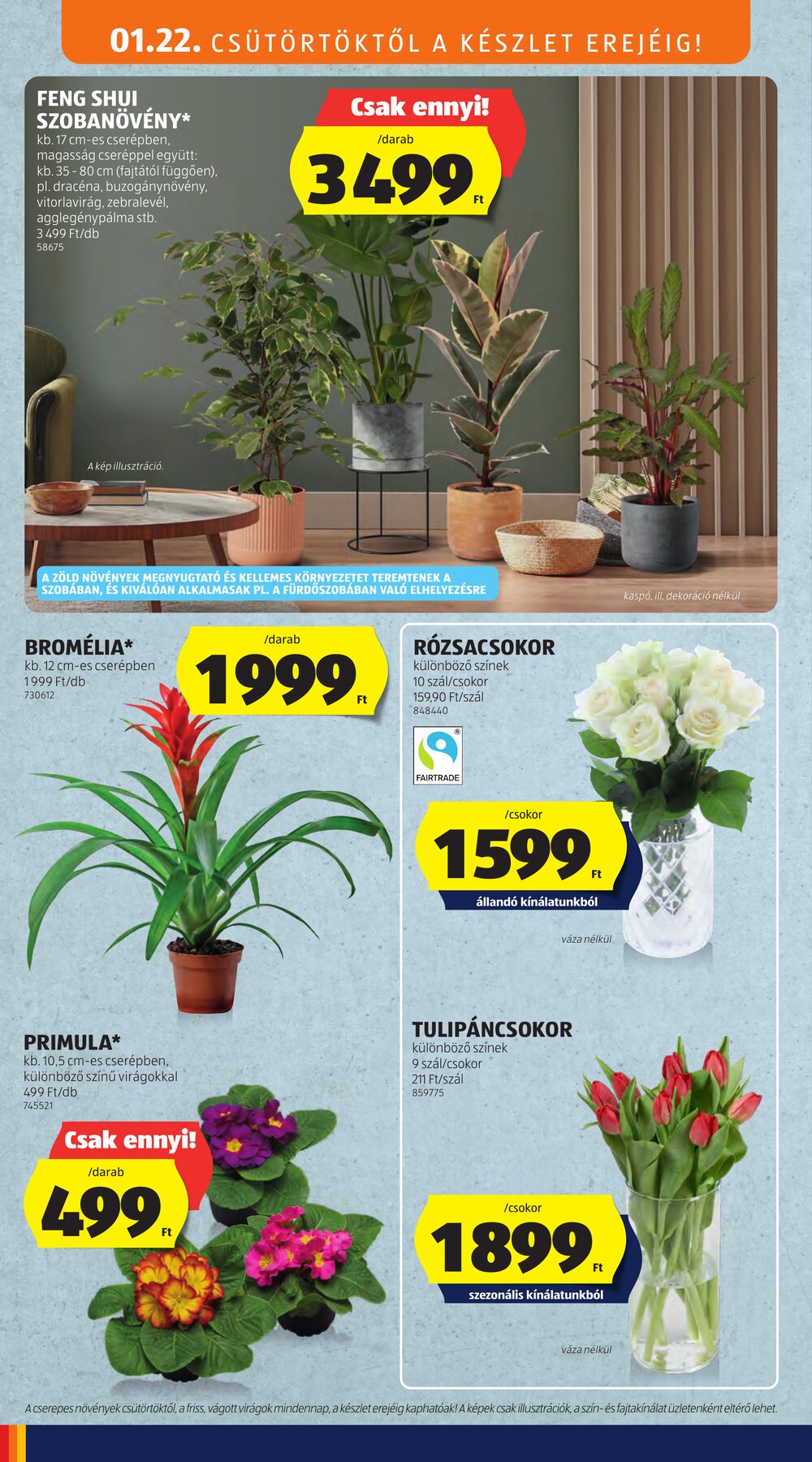 Aldi akciós újság 2026.01.22-től - 26. oldal.