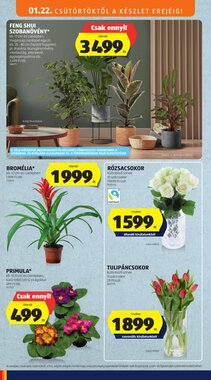 Aldi akciós újság 2026.01.22-től - 26. oldal.