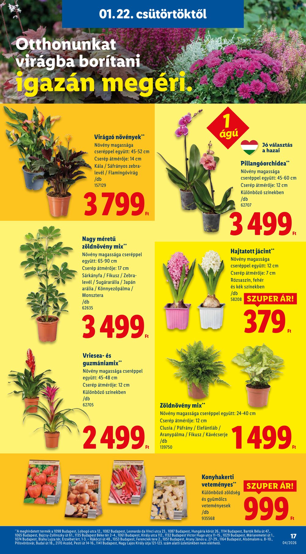 Lidl akciós újság 2026.01.22-től - 17. oldal.