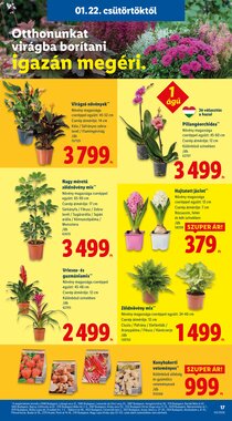 Lidl akciós újság 2026.01.22-től - 17. oldal.