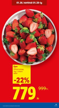 Lidl akciós újság 2026.01.22-től - 47. oldal.