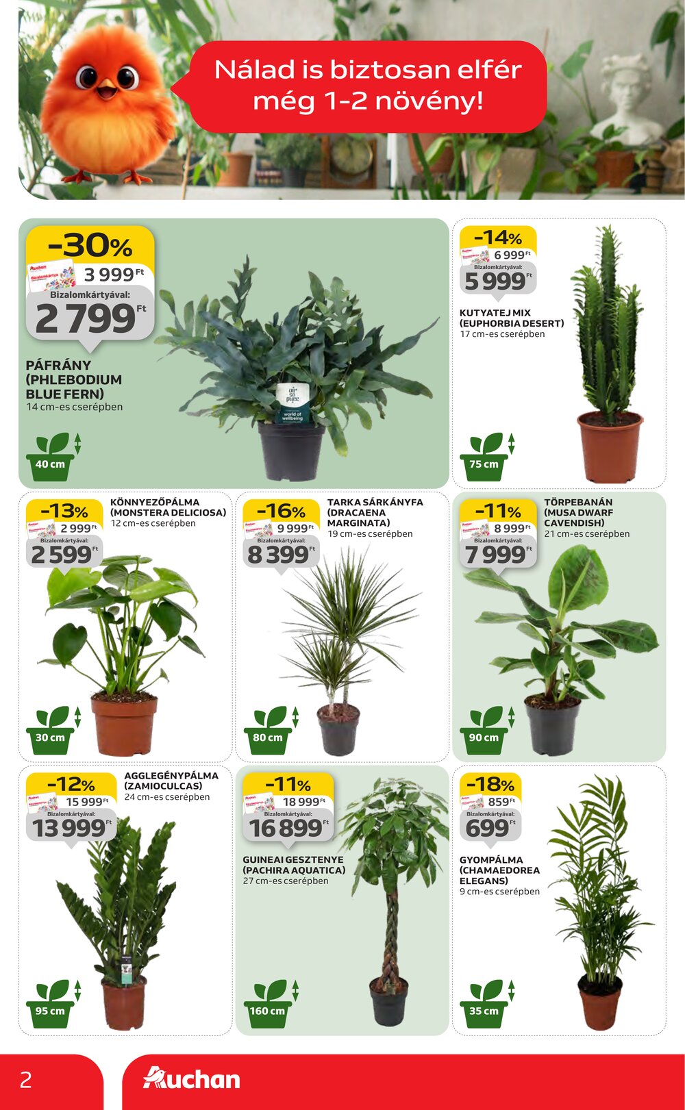 Auchan akciós újság 2026.01.22-től - 2. oldal.