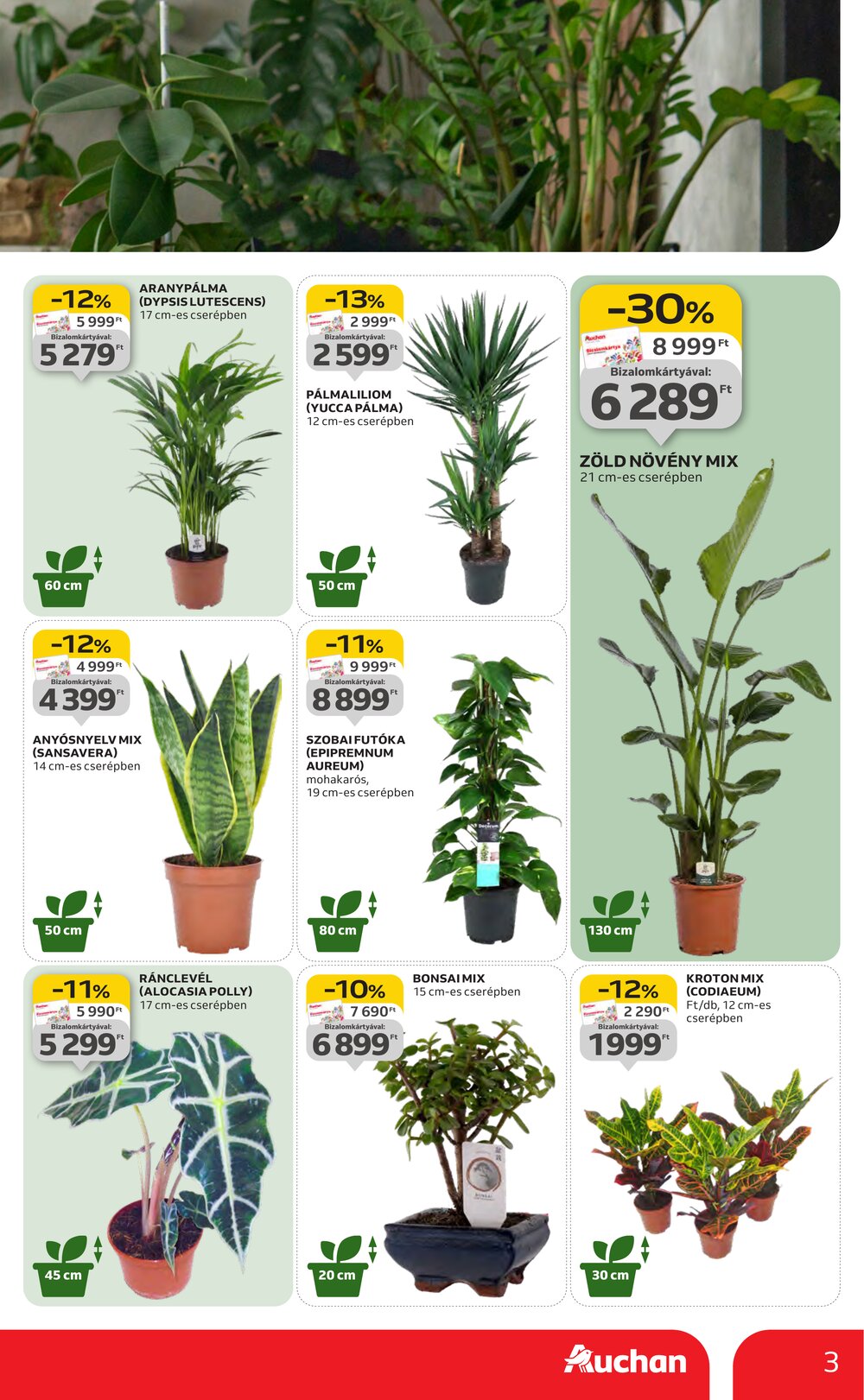 Auchan akciós újság 2026.01.22-től - 3. oldal.