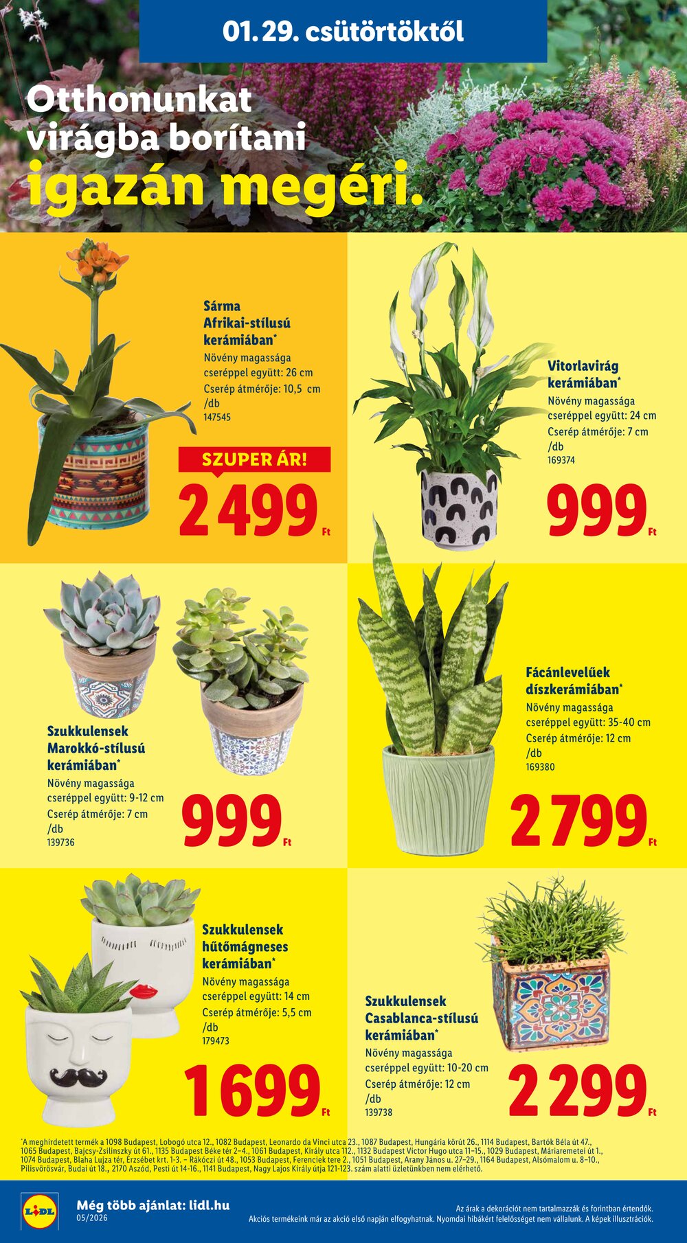 Lidl akciós újság 2026.01.29-től - 20. oldal.