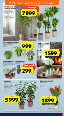 Aldi akciós újság 2026.01.29-től - 23. oldal.