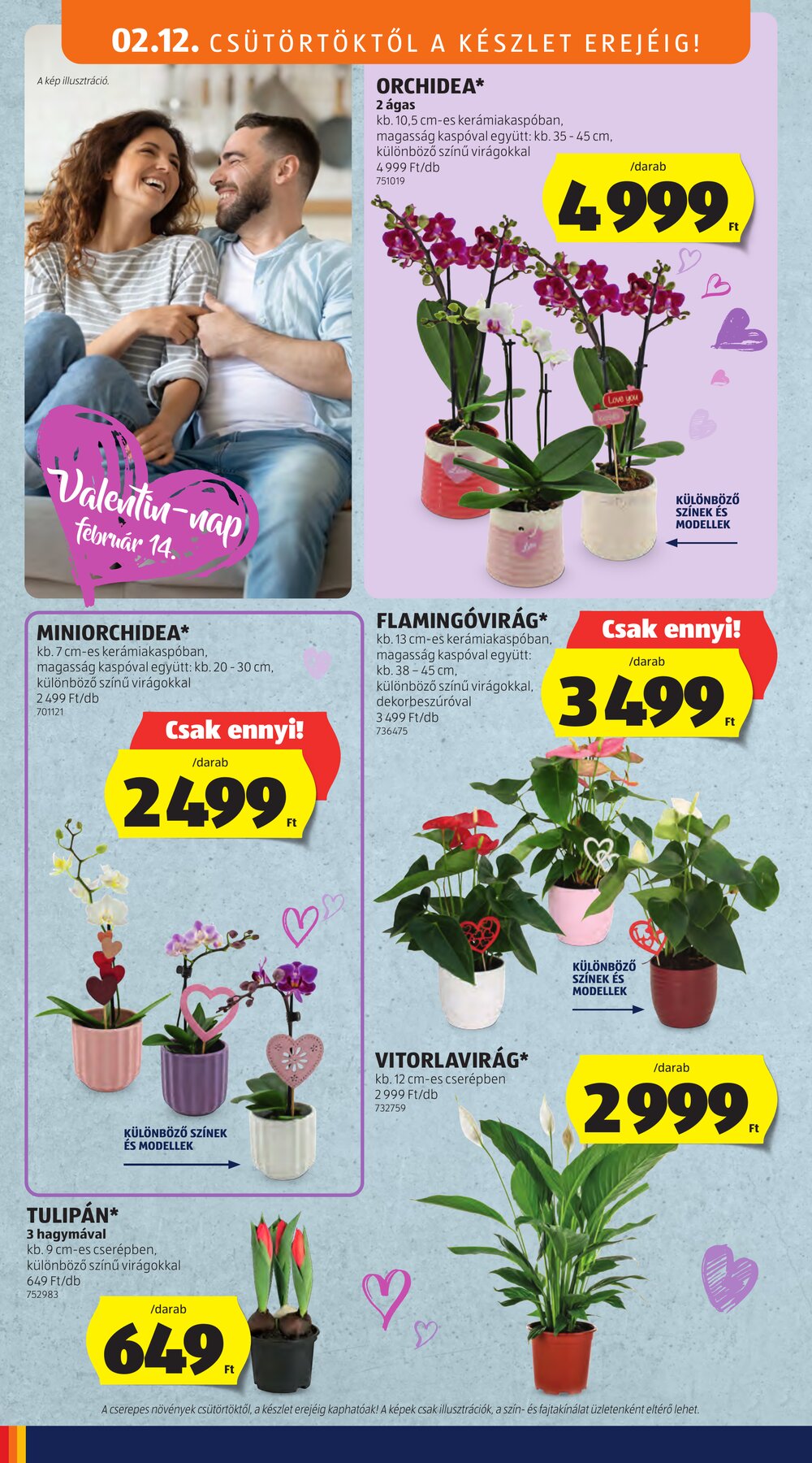 Aldi akciós újság 2026.02.12-től - 6. oldal.