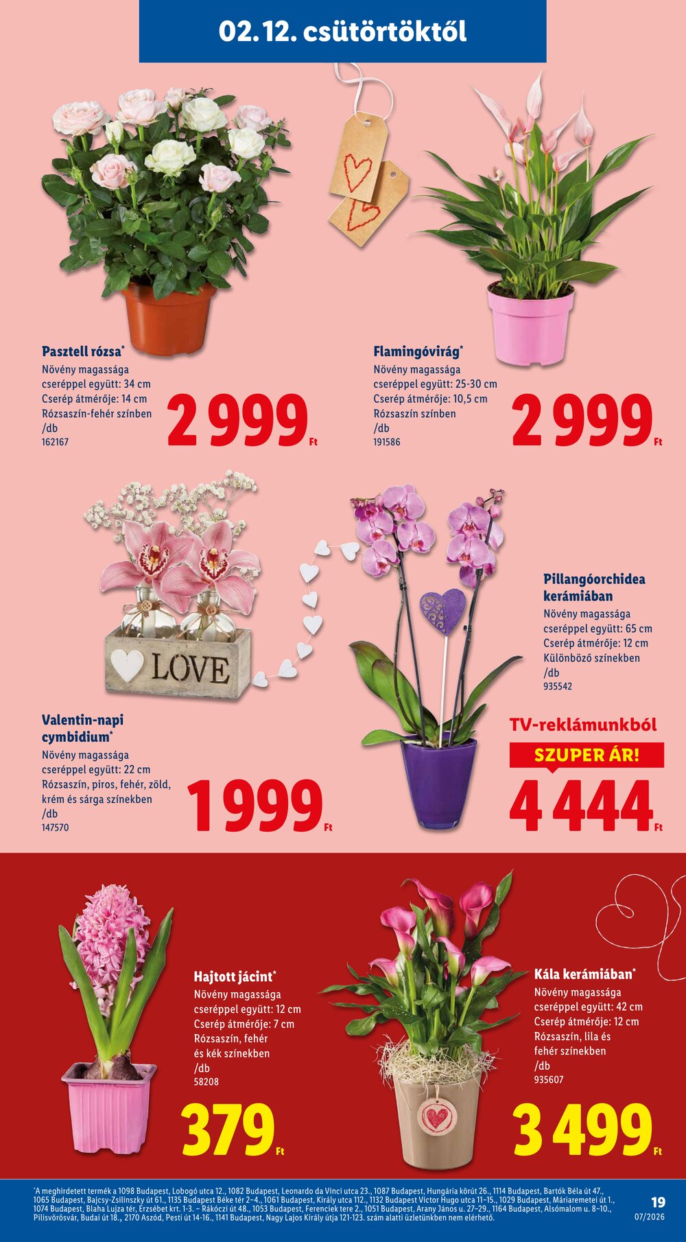 Lidl akciós újság 2026.02.12-től - 19. oldal.