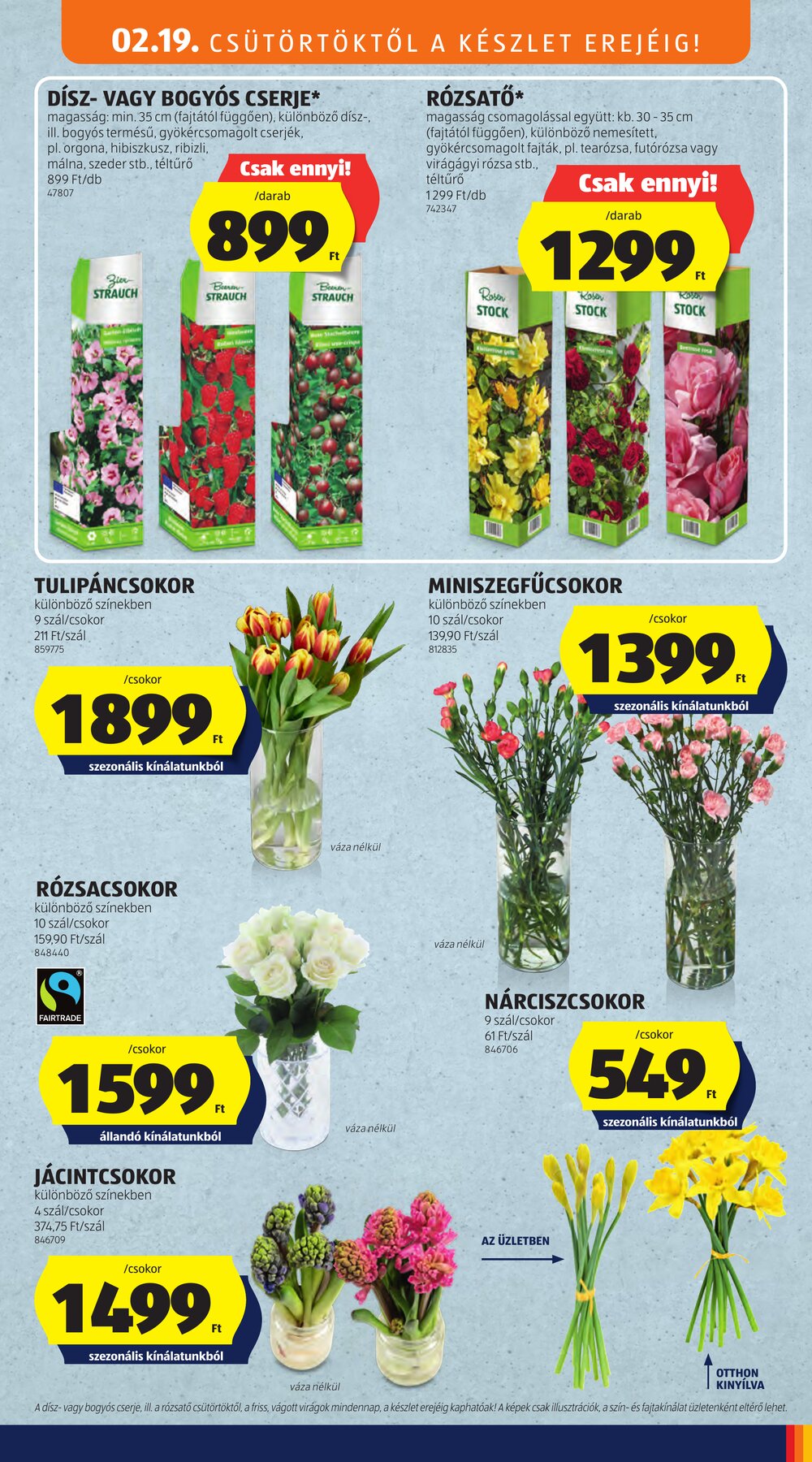 Aldi akciós újság 2026.02.19-től - 27. oldal.