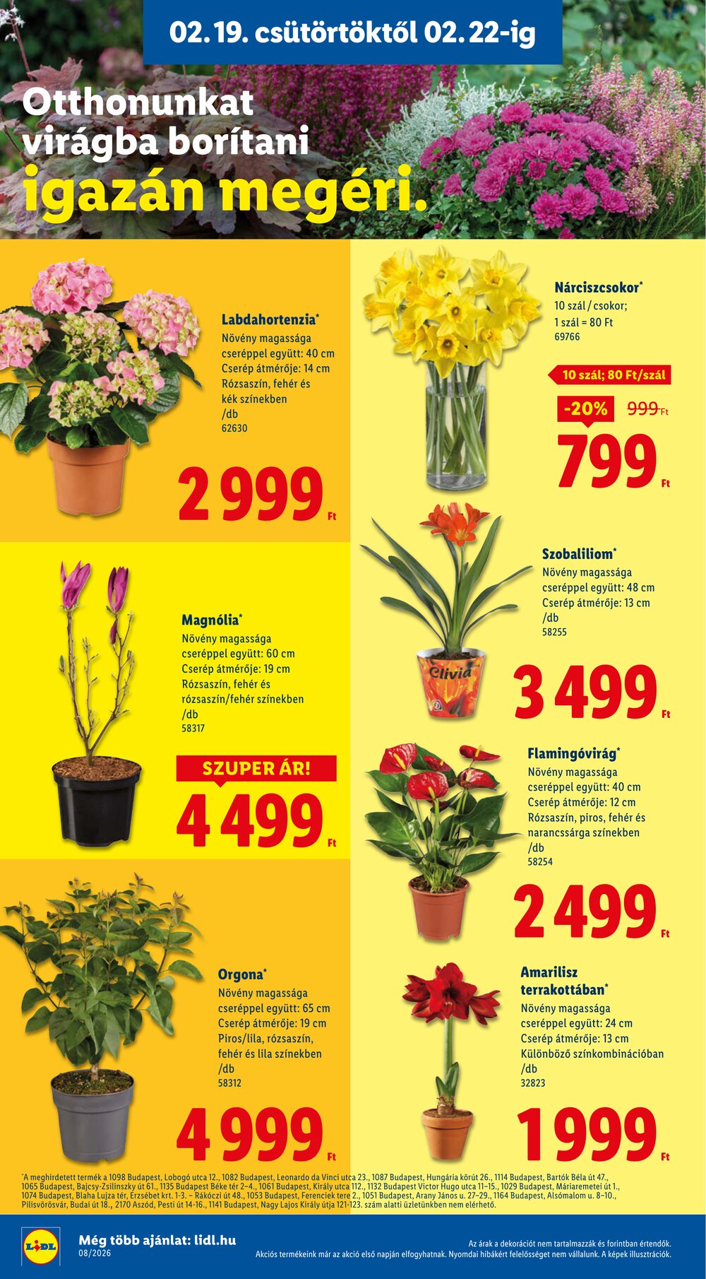 Lidl akciós újság 2026.02.19-től - 18. oldal.