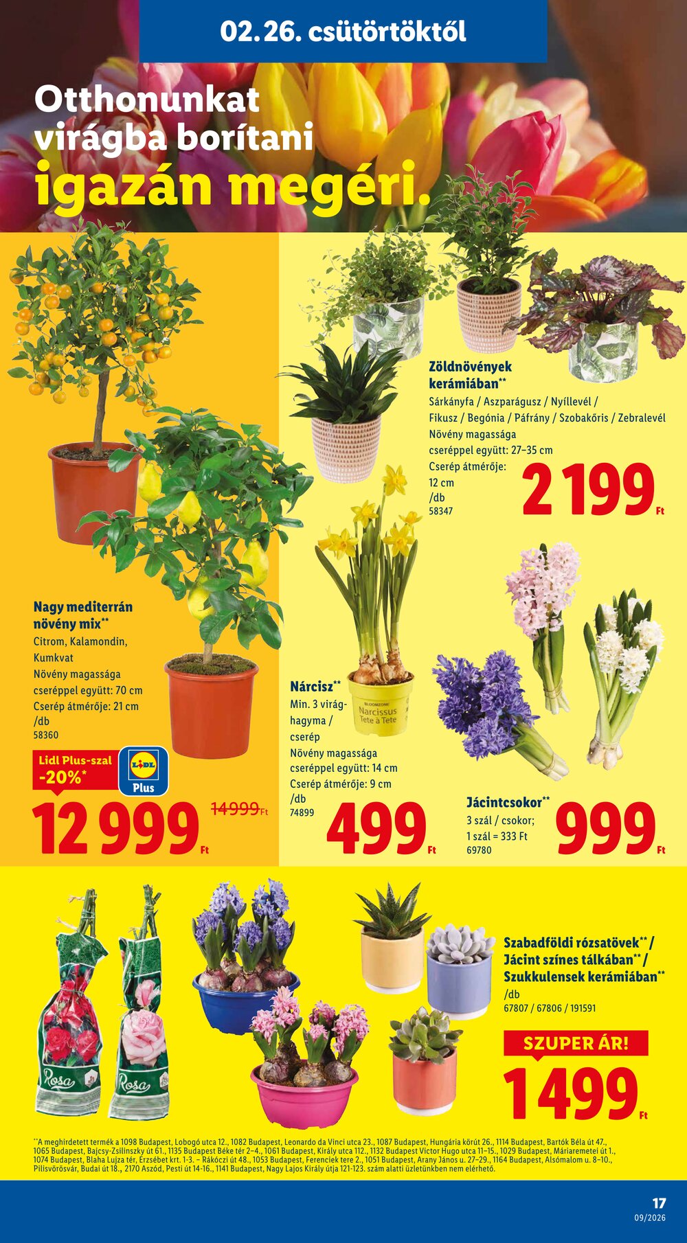 Lidl akciós újság 2026.02.26-tól - 17. oldal.