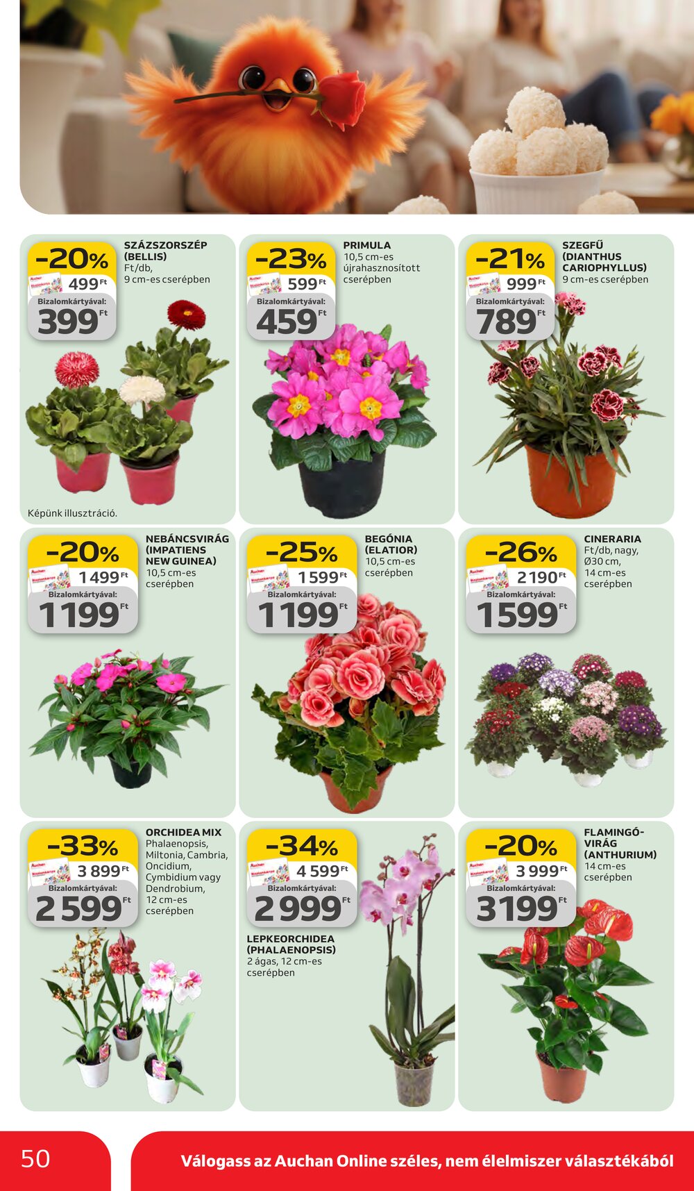 Auchan akciós újság 2026.03.05-től - 50. oldal.