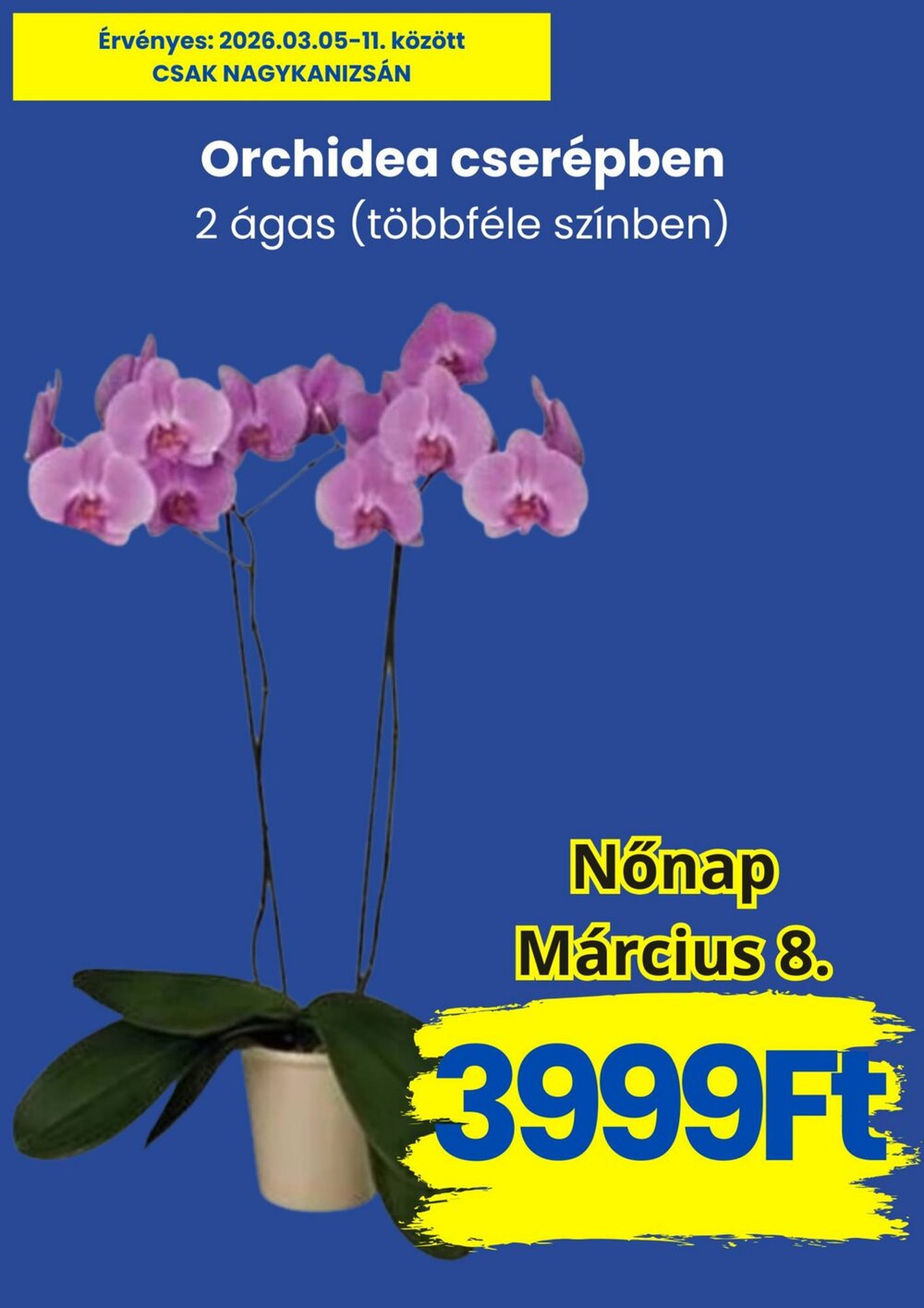 Magnetic áruházak akciós újság 2026.03.05-től - 5. oldal.