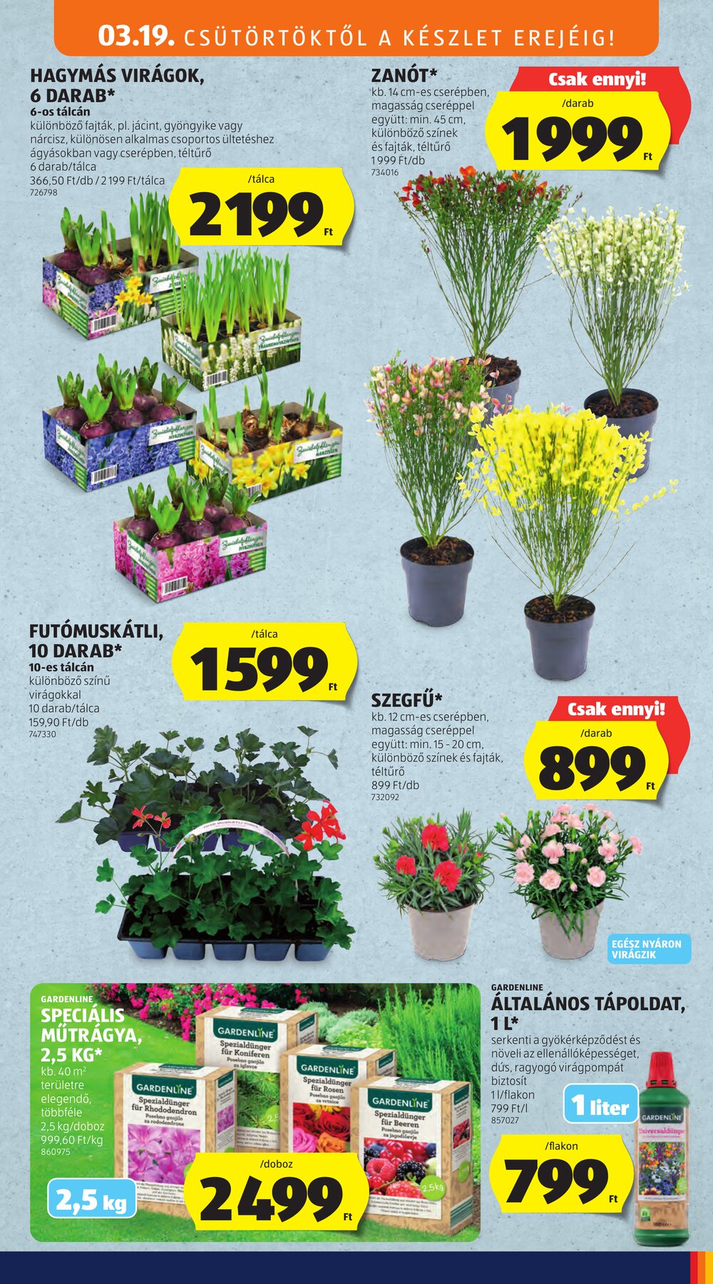 Aldi akciós újság 2026.03.19-től - 51. oldal.