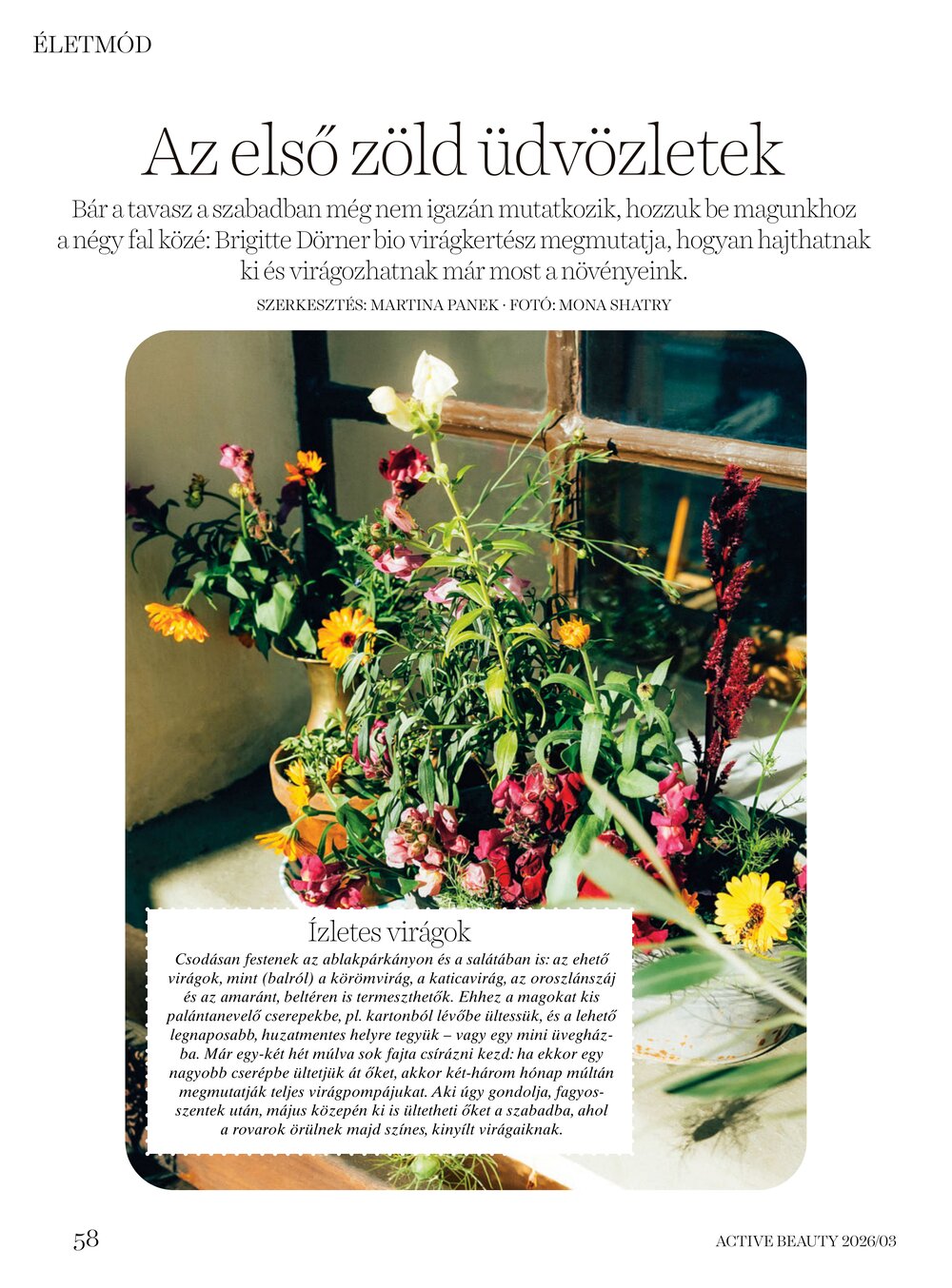 DM drogéria akciós újság 2026.04.01-től - 58. oldal.