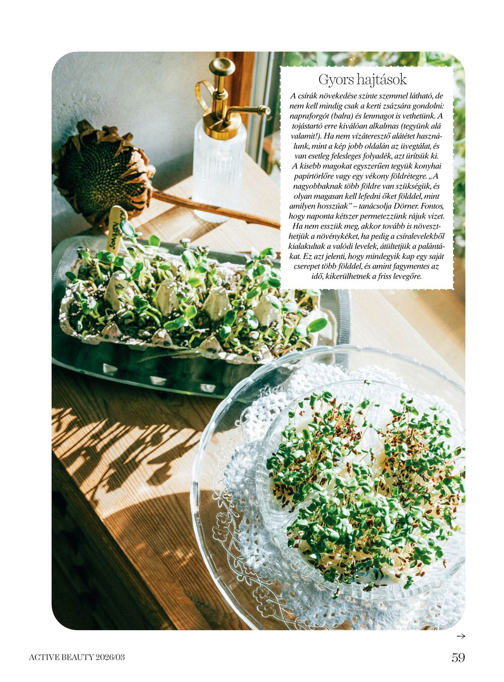 DM drogéria akciós újság 2026.04.01-től - 59. oldal.