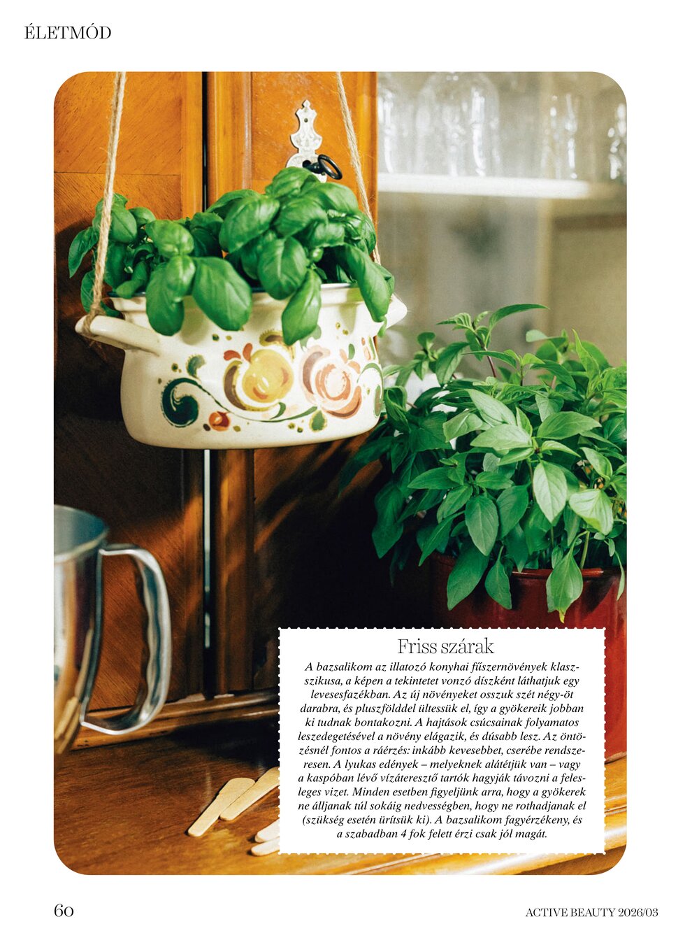 DM drogéria akciós újság 2026.04.01-től - 60. oldal.