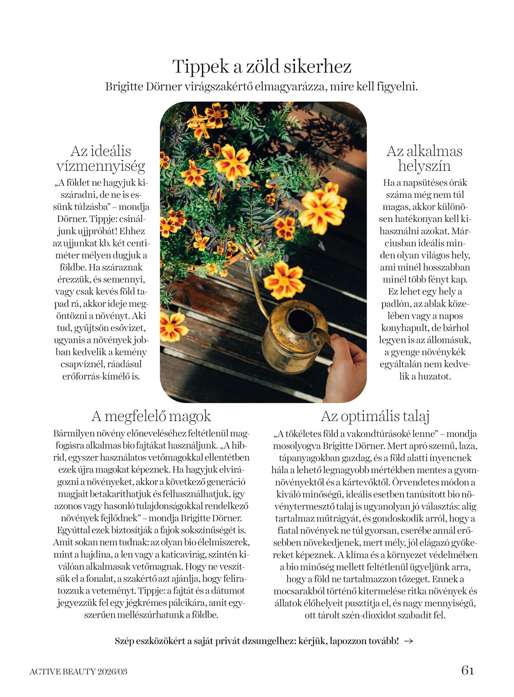 DM drogéria akciós újság 2026.04.01-től - 61. oldal.