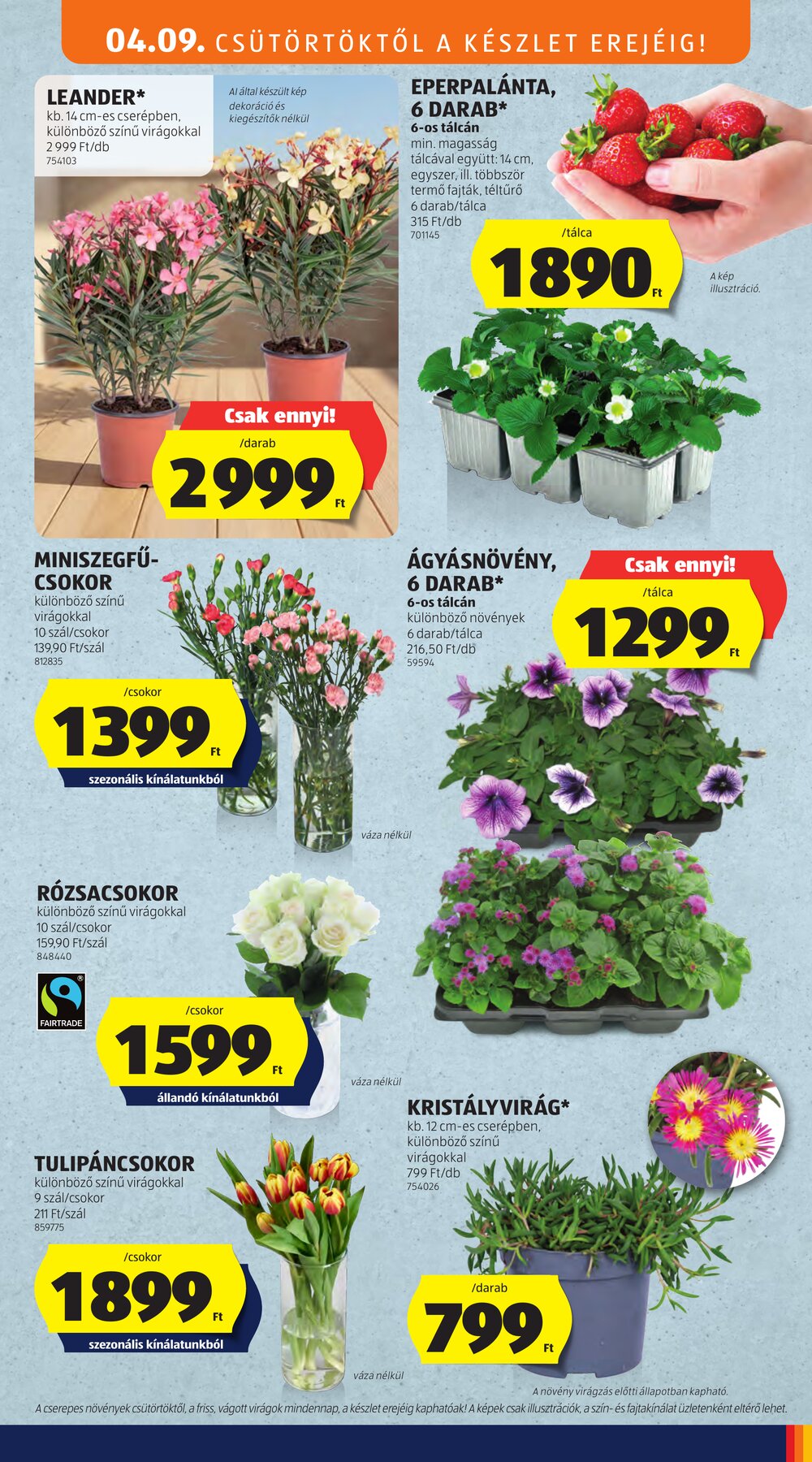 Aldi akciós újság 2026.04.09-től - 5. oldal.