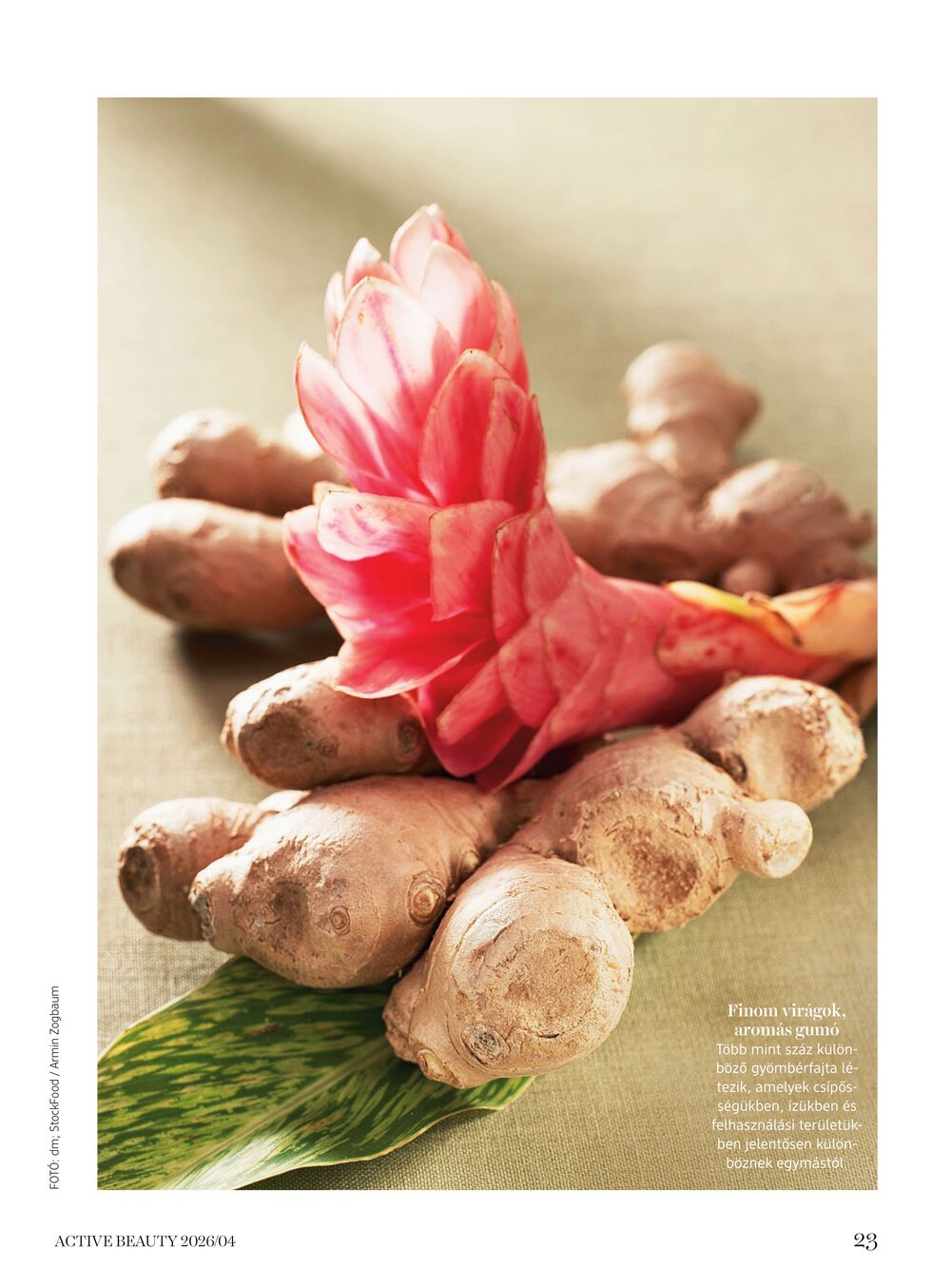 DM drogéria akciós újság 2026.04.14-től - 23. oldal.