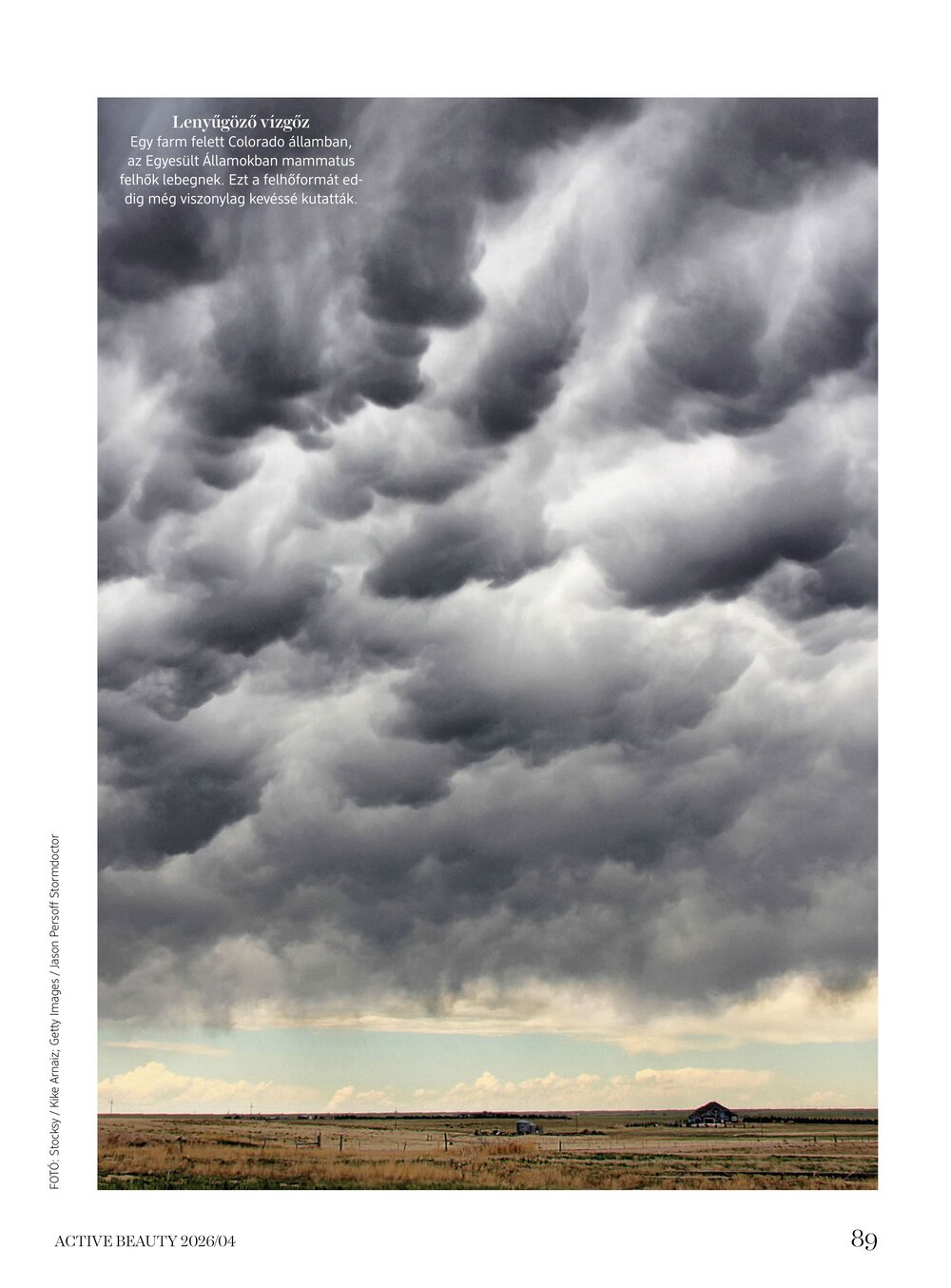 DM drogéria akciós újság 2026.04.14-től - 89. oldal.