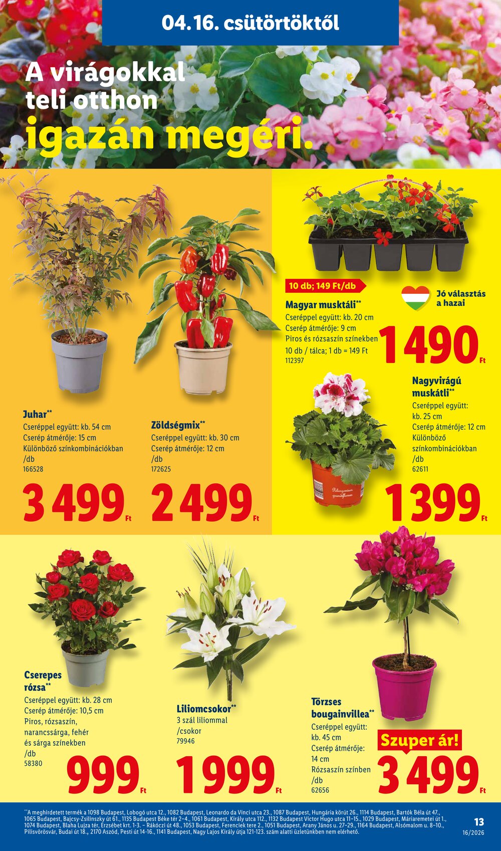 Lidl akciós újság 2026.04.16-tól - 13. oldal.