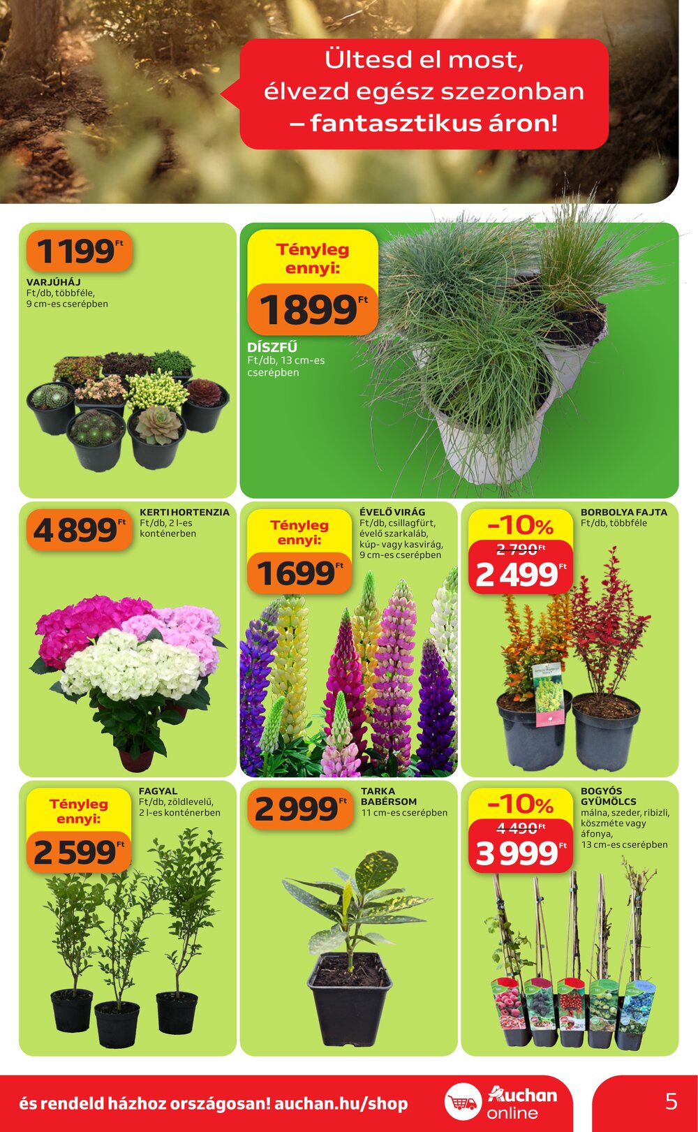 Auchan akciós újság 2026.04.16-tól - 5. oldal.